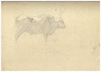 Visualizza l'immagine "FD Album 3, 25 v."